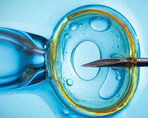 天津捐卵招聘，让孩子拥有良好的遗传基因