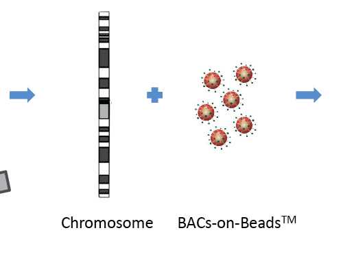 代孕中心网站_福州供卵妹子多少钱,福州试管婴儿医院费用大约多少，要花多少