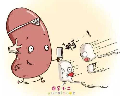 马鞍山三代试管染色体筛查成功率？