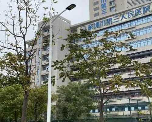 为何供卵试管婴儿大多移植冷冻胚胎