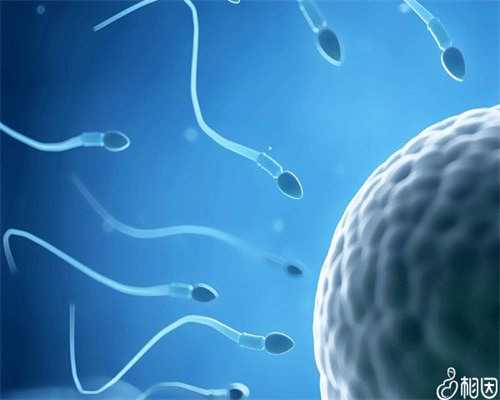 龙岩厦门试管排名首位，龙岩厦门眼科中心