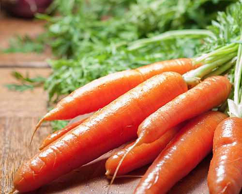 代生孩子男-俄罗斯试管的囊胚移植技术优势是什么?