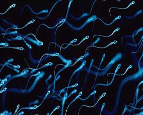 拉拉试管代怀-羊水少喝椰汁有用吗