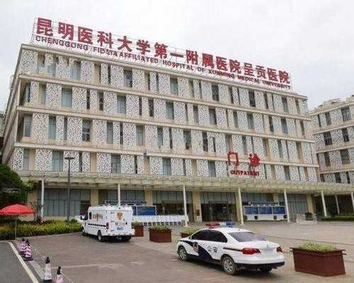 代生价钱-为你科普囊胚移植后着床的整个过程