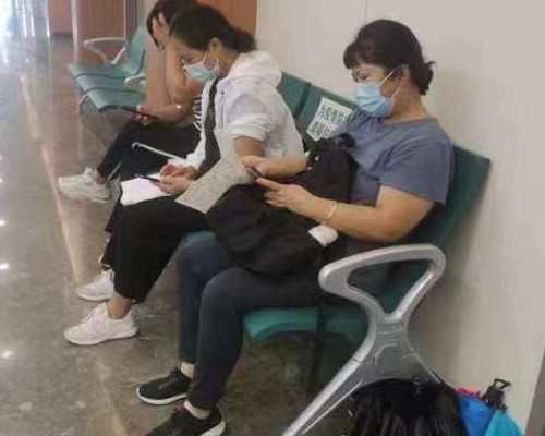 厦门174试管成功率多少[福建试管婴儿]