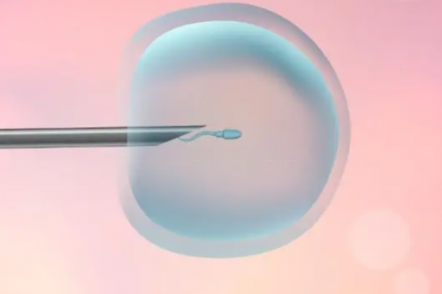 正规医院供卵-卵巢早衰可以吃蜂王浆吗